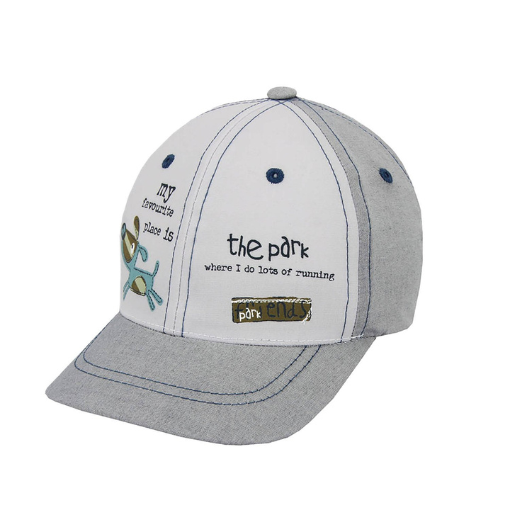 Pojke keps höst/vår, grå, bomull, Dog